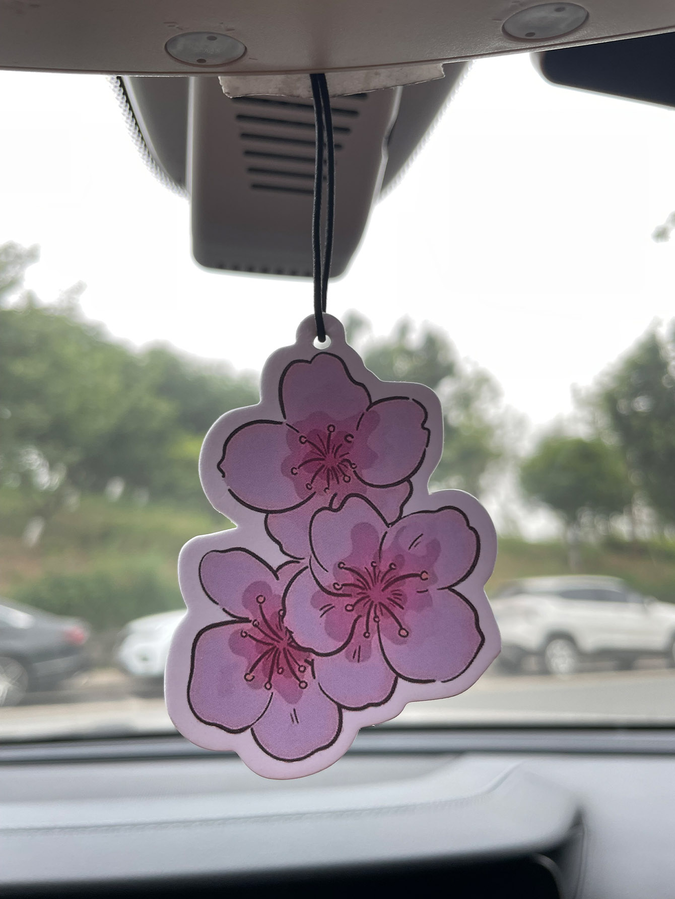 Sakura/Freesia Frisse Geur Vij - Perfume Room Fragrance recensie en prijs