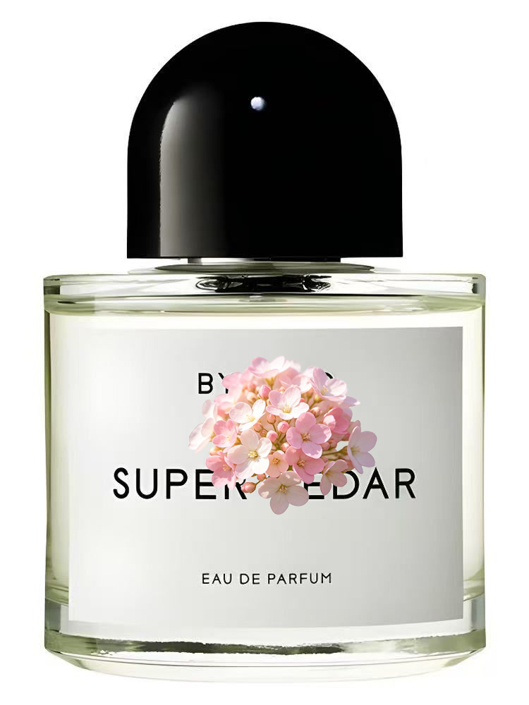 Unisex Eau de Parfum 100ml 3.4 - Perfume Fragrance Dupe recensie en prijs